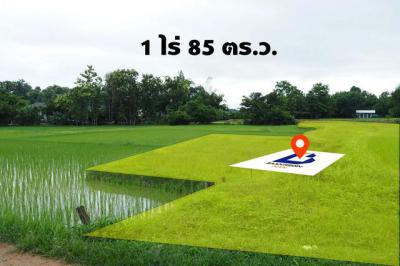 ที่ดิน 1700000 น่าน ปัว ศิลาแลง