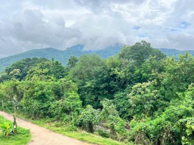 ที่ดิน 17000000 น่าน ปัว ศิลาเพชร