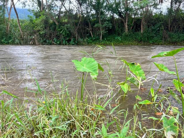 ที่ดิน 17000000 น่าน ปัว ศิลาเพชร ที่ดิน 17000000 น่าน ปัว ศิลาเพชร