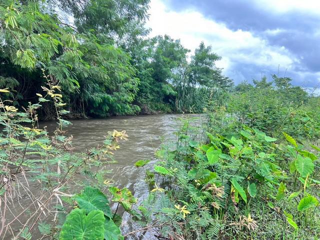 ที่ดิน 17000000 น่าน ปัว ศิลาเพชร ที่ดิน 17000000 น่าน ปัว ศิลาเพชร