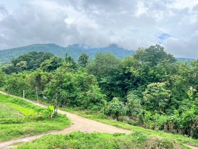 ที่ดิน 17000000 น่าน ปัว ศิลาเพชร ที่ดิน 17000000 น่าน ปัว ศิลาเพชร