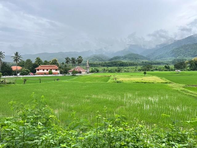 ที่ดิน 2500000 น่าน ปัว ศิลาแลง ที่ดิน 2500000 น่าน ปัว ศิลาแลง