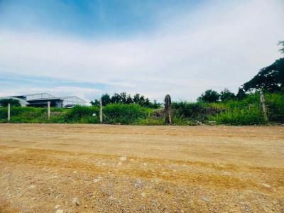 ที่ดิน 1700000 ปทุมธานี หนองเสือ บึงบอน