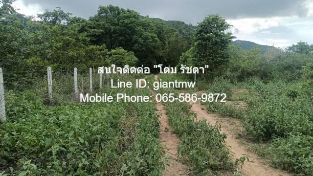 ที่ดิน 2500000 ประจวบคีรีขันธ์ หัวหิน หัวหิน ที่ดิน 2500000 ประจวบคีรีขันธ์ หัวหิน หัวหิน