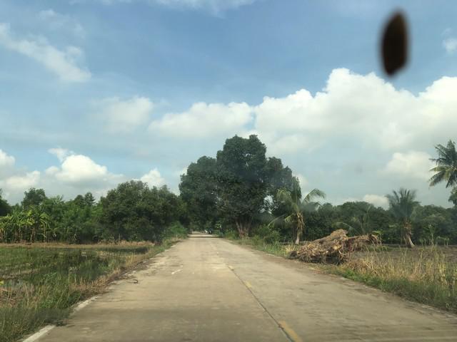 ที่ดิน 800000 ปทุมธานี ลาดหลุมแก้ว บ่อเงิน ที่ดิน 800000 ปทุมธานี ลาดหลุมแก้ว บ่อเงิน