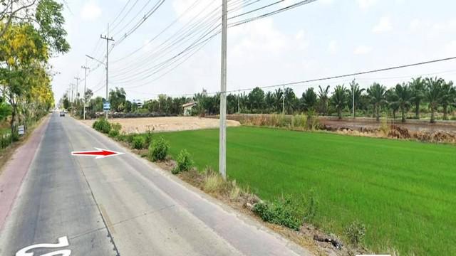 ที่ดิน 5800000 ปทุมธานี หนองเสือ หนองสามวัง ที่ดิน 5800000 ปทุมธานี หนองเสือ หนองสามวัง