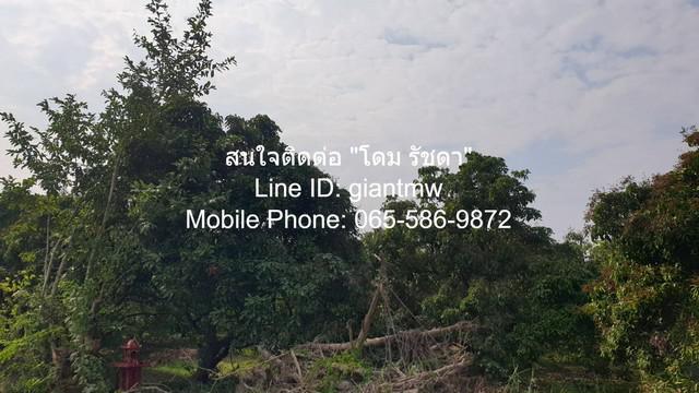 ที่ดิน 2500000 เชียงใหม่ หางดง ขุนคง ที่ดิน 2500000 เชียงใหม่ หางดง ขุนคง