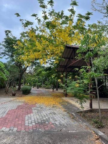 ที่ดิน 30000000 สมุทรสงคราม เมืองสมุทรสงคราม ท้ายหาด
