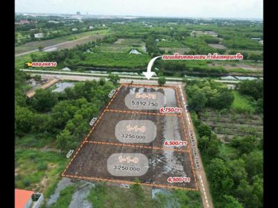 ที่ดิน 9142750 ปทุมธานี คลองหลวง คลองสี่