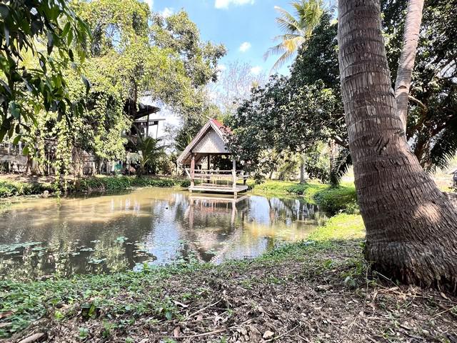 ที่ดิน 4500000 น่าน เมืองน่าน ไชยสถาน ที่ดิน 4500000 น่าน เมืองน่าน ไชยสถาน