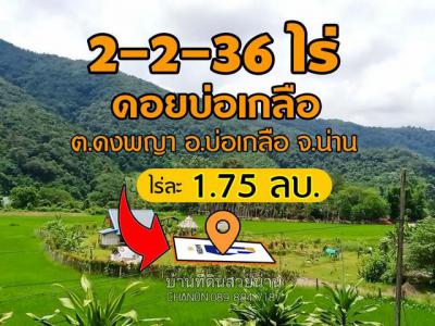 ที่ดิน 4500000 น่าน บ่อเกลือ ดงพญา