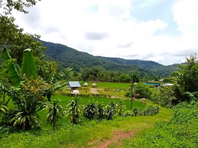ที่ดิน 4500000 น่าน บ่อเกลือ ดงพญา ที่ดิน 4500000 น่าน บ่อเกลือ ดงพญา
