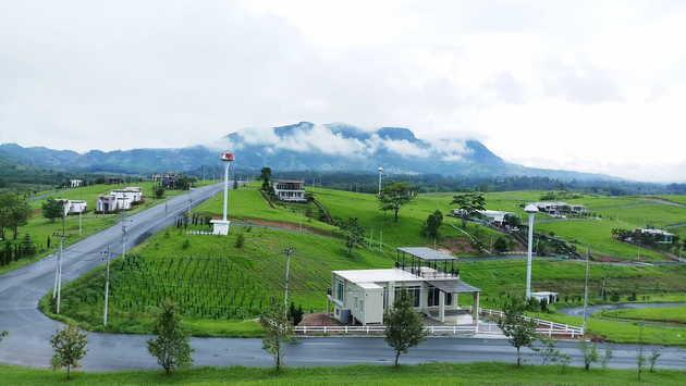 ที่ดิน 3500000 เพชรบูรณ์ เขาค้อ แคมป์สน ที่ดิน 3500000 เพชรบูรณ์ เขาค้อ แคมป์สน