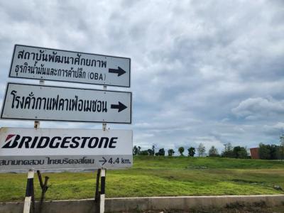 ที่ดิน 790000 สระบุรี หนองแค หนองแขม