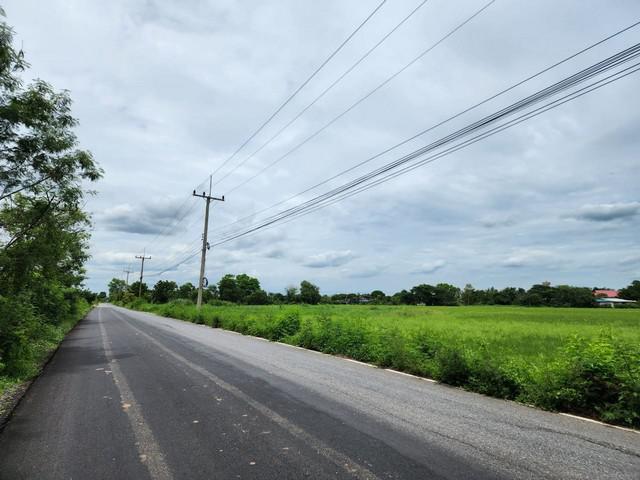 ที่ดิน 790000 สระบุรี หนองแค หนองแขม ที่ดิน 790000 สระบุรี หนองแค หนองแขม