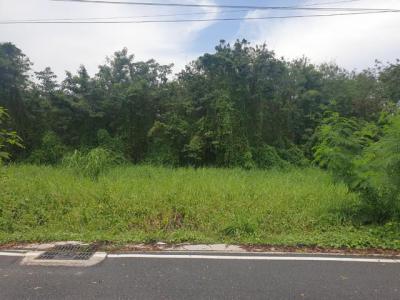 ที่ดิน 10000 ปทุมธานี ธัญบุรี ลำผักกูด