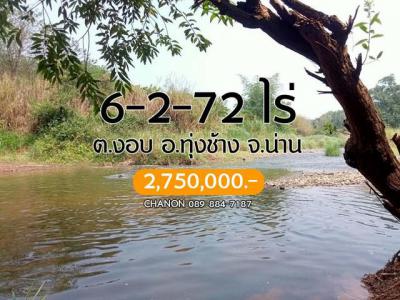 ที่ดิน 2750000 น่าน ทุ่งช้าง งอบ
