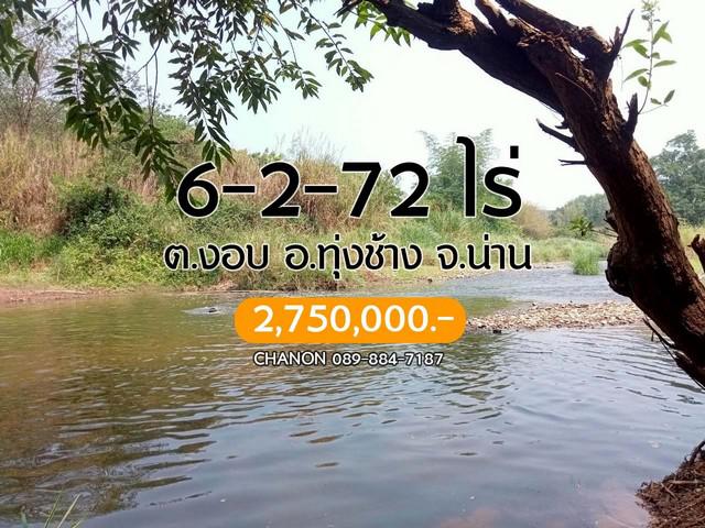 ที่ดิน 2750000 น่าน ทุ่งช้าง งอบ ที่ดิน 2750000 น่าน ทุ่งช้าง งอบ
