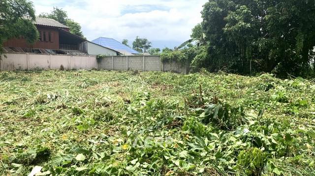ที่ดิน 4300000 เชียงใหม่ หางดง หนองควาย ที่ดิน 4300000 เชียงใหม่ หางดง หนองควาย
