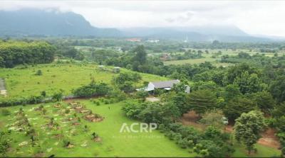 บ้านเดี่ยว 50000000 เชียงใหม่ เชียงดาว เชียงดาว