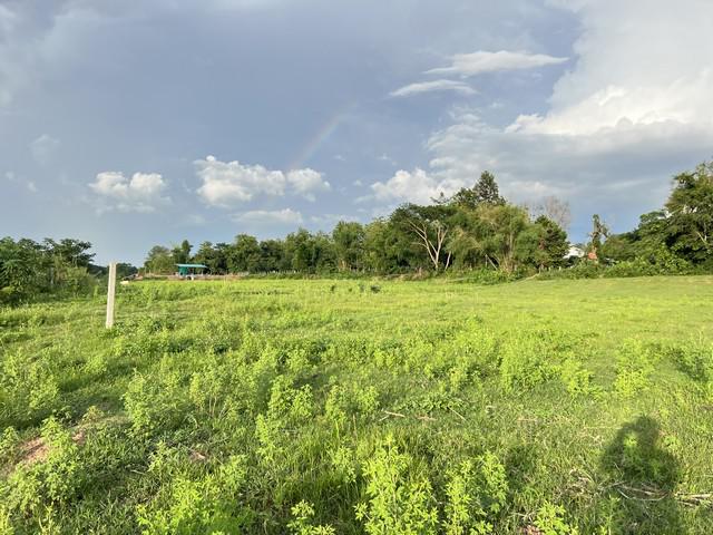 ที่ดิน 7200000 น่าน เวียงสา นาเหลือง ที่ดิน 7200000 น่าน เวียงสา นาเหลือง