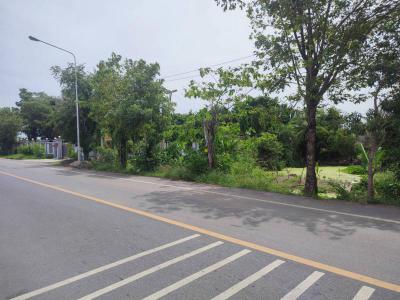 ที่ดิน 3055900 พระนครศรีอยุธยา ลาดบัวหลวง คู้สลอด