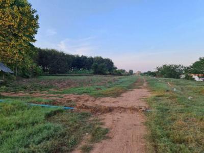 ที่ดิน 800000 หนองคาย โพนพิสัย กุดบง