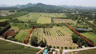 ที่ดิน 90000000 นครราชสีมา ปากช่อง หมูสี
