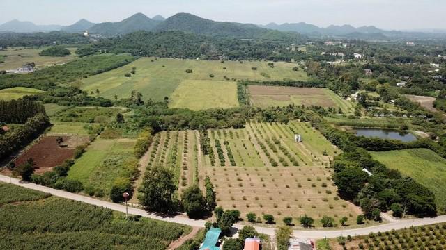 ที่ดิน 90000000 นครราชสีมา ปากช่อง หมูสี ที่ดิน 90000000 นครราชสีมา ปากช่อง หมูสี