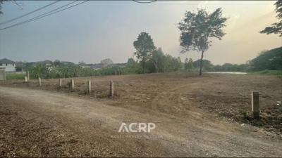 ที่ดิน 9950000 เชียงใหม่ สารภี ท่าวังตาล