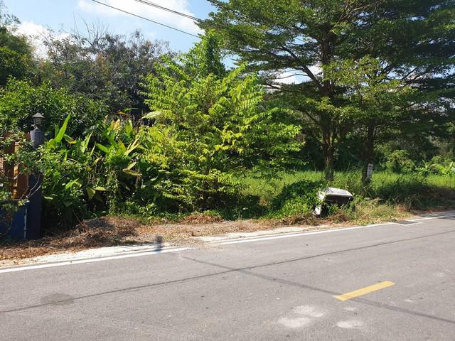 ที่ดิน 1000000 ปทุมธานี ธัญบุรี ลำผักกูด