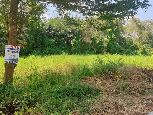 ที่ดิน 1000000 ปทุมธานี ธัญบุรี ลำผักกูด