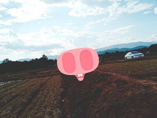 ที่ดิน 800000 น่าน ท่าวังผา ศรีภูมิ ที่ดิน 800000 น่าน ท่าวังผา ศรีภูมิ