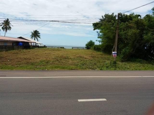 ที่ดิน 5900000 ชุมพร ปะทิว สะพลี ที่ดิน 5900000 ชุมพร ปะทิว สะพลี