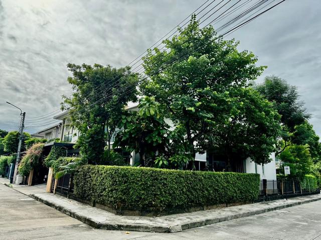บ้านเดี่ยว 14800000 กรุงเทพมหานคร เขตสวนหลวง สวนหลวง บ้านเดี่ยว 14800000 กรุงเทพมหานคร เขตสวนหลวง สวนหลวง