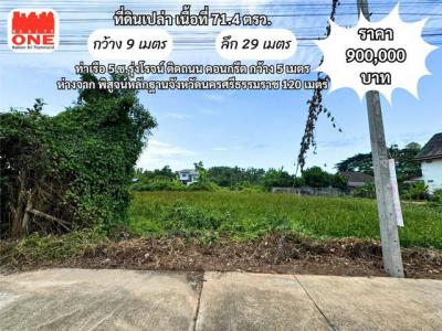 ที่ดิน 900000 นครศรีธรรมราช เมืองนครศรีธรรมราช ท่าเรือ