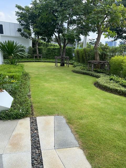 บ้านเดี่ยว 120000 นนทบุรี บางบัวทอง บางรักพัฒนา บ้านเดี่ยว 120000 นนทบุรี บางบัวทอง บางรักพัฒนา