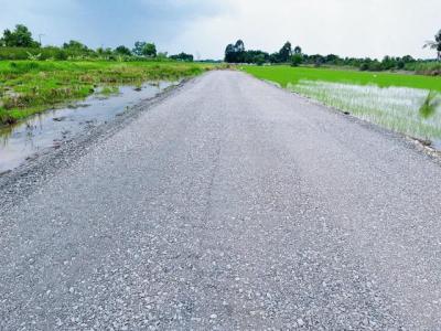 ที่ดิน 370000 ปทุมธานี หนองเสือ บึงกาสาม