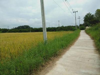 ที่ดิน 690000 ลำพูน บ้านธิ บ้านธิ