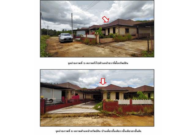 บ้านเดี่ยว 1800000 สุราษฎร์ธานี พนม ต้นยวน บ้านเดี่ยว 1800000 สุราษฎร์ธานี พนม ต้นยวน