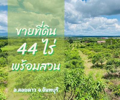 ที่ดิน 19900000 จันทบุรี สอยดาว ทับช้าง