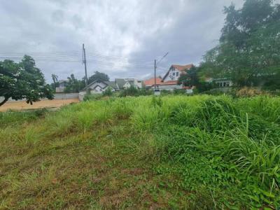ที่ดิน 3752000 ชลบุรี บางละมุง หนองปรือ
