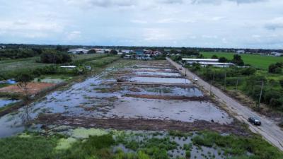 ที่ดิน 2800000 ปทุมธานี ลำลูกกา บึงทองหลาง