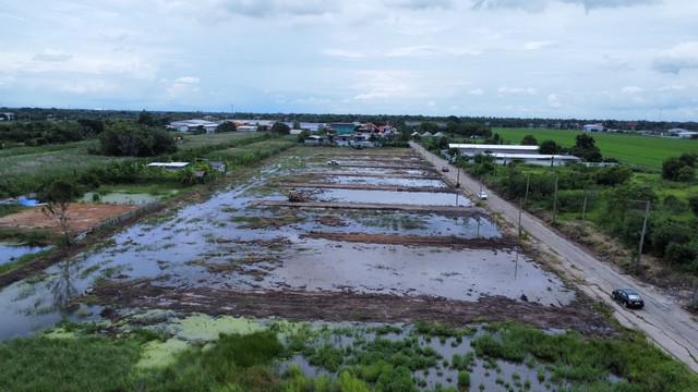 ที่ดิน 2800000 ปทุมธานี ลำลูกกา บึงทองหลาง ที่ดิน 2800000 ปทุมธานี ลำลูกกา บึงทองหลาง