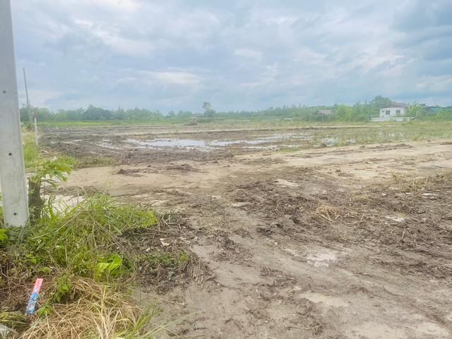ที่ดิน 2800000 ปทุมธานี ลำลูกกา บึงทองหลาง ที่ดิน 2800000 ปทุมธานี ลำลูกกา บึงทองหลาง