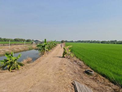 ที่ดิน 800000 ปทุมธานี ลาดหลุมแก้ว บ่อเงิน