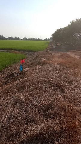 ที่ดิน 800000 ปทุมธานี ลาดหลุมแก้ว บ่อเงิน ที่ดิน 800000 ปทุมธานี ลาดหลุมแก้ว บ่อเงิน