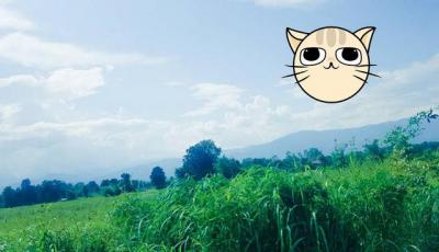 ที่ดิน 2500000 ตาก บ้านตาก ตากออก