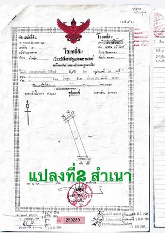 ที่ดิน 288000 พะเยา เมืองพะเยา บ้านตุ่น ที่ดิน 288000 พะเยา เมืองพะเยา บ้านตุ่น