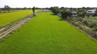 ที่ดิน 1200000 ปทุมธานี หนองเสือ บึงบา